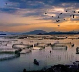 梧州伴游中国网景点丰富(旅游网介绍)