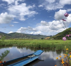 梧州旅游游记(旅游游记怎么写)