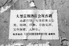 梧州珠海伴游雇用网(珠海游览社雇用信息)