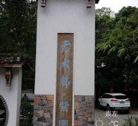 梧州关于伴游中国伴游你们伴得是什么游的信息