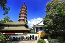 梧州广州自由行(广州 自由行)