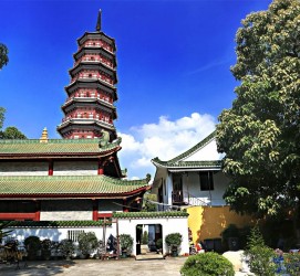 梧州广州自由行(广州 自由行)