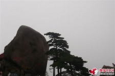 梧州上海伴游私家陪游雇用女模(上海伴游私家陪游雇用女模特)