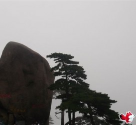 梧州上海伴游私家陪游雇用女模(上海伴游私家陪游雇用女模特)