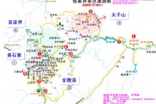 梧州旅游路线规划(旅游路线规划软件)