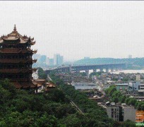 梧州武汉游玩攻略(武汉游玩攻略ppt)