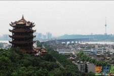 梧州武汉游玩攻略(武汉游玩攻略ppt)