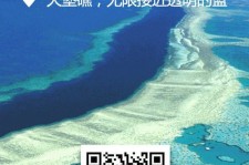 梧州中国250家旅行社结伴游新西兰(新西兰当地旅行社)