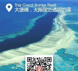 梧州中国250家旅行社结伴游新西兰(新西兰当地旅行社)