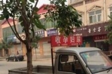 梧州上海伴游 用伴游造句大全(5