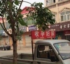梧州上海伴游 用伴游造句大全(5