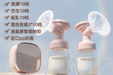 梧州奶模(奶模型)