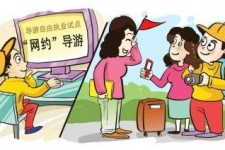 梧州伴游是什么