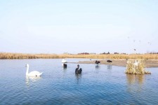 梧州南昌附近伴游小妹兼职(1534939978姐的微信德惠市)