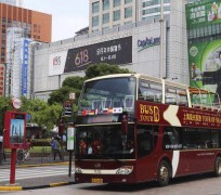 梧州上海私人伴游 上海过年怎么玩？这些“微游”线路了解下→