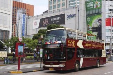 梧州上海私人伴游 上海过年怎么玩？这些“微游”线路了解下→