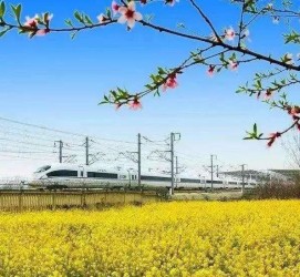 梧州高铁游(高铁游戏下载手机版)