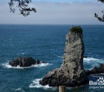 梧州旅游全攻略(上海旅游全攻略)
