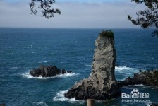 梧州旅游全攻略(上海旅游全攻略)