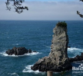 梧州旅游全攻略(上海旅游全攻略)