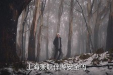梧州上海私人伴游 上海伴游，上海兼职伴游安全吗
