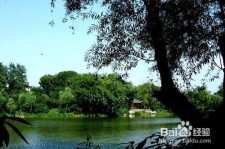 梧州西湖旅游攻略(上海到杭州西湖旅游攻略)