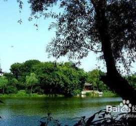 梧州西湖旅游攻略(上海到杭州西湖旅游攻略)