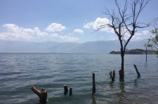 梧州洱海旅游攻略(洱海旅游攻略自由行)