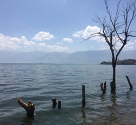 梧州洱海旅游攻略(洱海旅游攻略自由行)