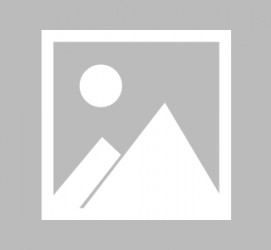 梧州全国男伴游雇用信息(哪里有雇用男士伴游的)