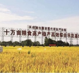 梧州关于成都商务伴游外围雇用的信息