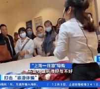 梧州上海私人伴游 看·法｜100元游上海？！“旅社”涉嫌诈骗被一窝端