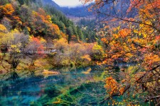 梧州四川旅游攻略(四川旅游攻略十五日游)