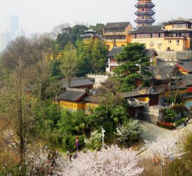 梧州南京周边游(南京周边游景点大全 自驾车旅游)