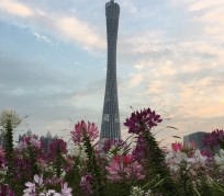 梧州广州旅游攻略(杭州到广州旅游攻略)