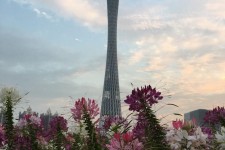 梧州广州旅游攻略(杭州到广州旅游攻略)