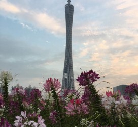 梧州广州旅游攻略(杭州到广州旅游攻略)