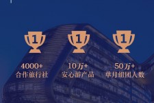 梧州上海私人伴游 ​ “小而美”的新时代：2020年国内新跟团消费报告
