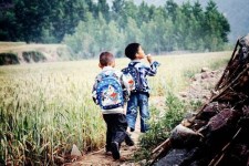 梧州河南一家四口结伴游中国2个月(河南适合一家四口旅游的地方)