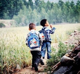 梧州河南一家四口结伴游中国2个月(河南适合一家四口旅游的地方)