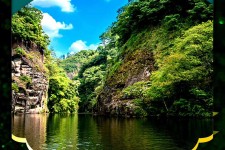 梧州旅游报价(旅行团旅游报价)