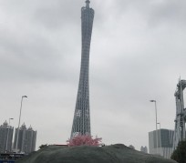 梧州广州游玩攻略(广州游玩攻略景点大全免费)