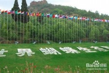 梧州昆明旅游攻略(昆明旅游攻略景点大全抚仙湖)
