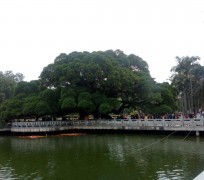 梧州福州旅游攻略(福州旅游攻略二日游)