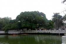 梧州福州旅游攻略(福州旅游攻略二日游)
