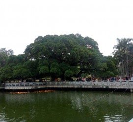 梧州福州旅游攻略(福州旅游攻略二日游)
