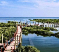 梧州旅游哪里好玩(云南旅游哪里好玩)