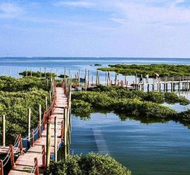 梧州旅游哪里好玩(云南旅游哪里好玩)