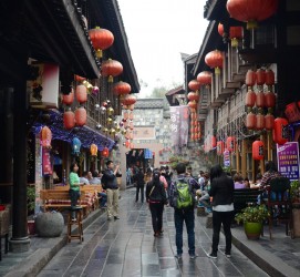 梧州成都自助游(成都自助游住哪里方便)