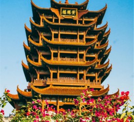 梧州武汉游玩攻略(武汉游玩攻略路线)